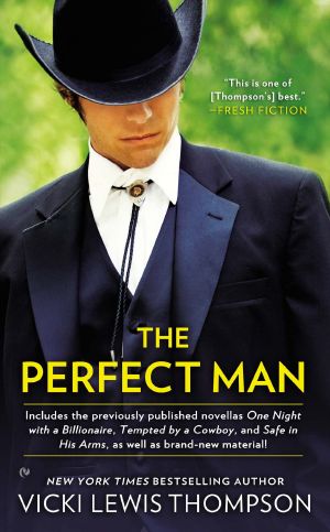 [Perfect Man 01] • The Perfect Man
